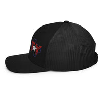 TY Trucker Cap