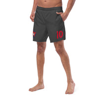 TY Grey Ten Swim trunks