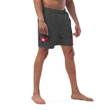 TY Grey Ten Swim trunks
